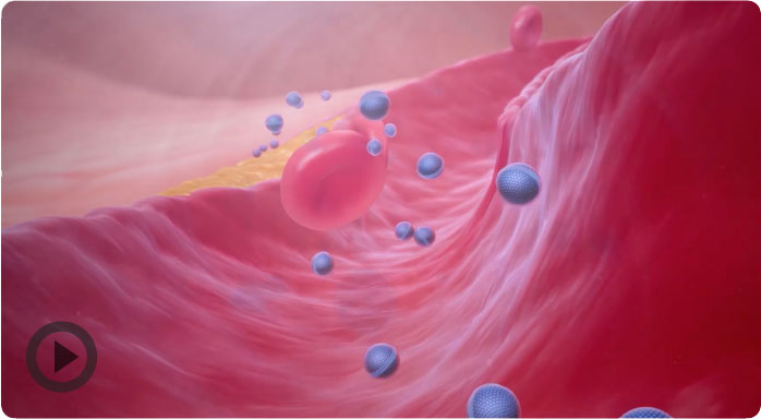 animation-demo-video-placeholder