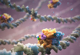 triglyceride treatment