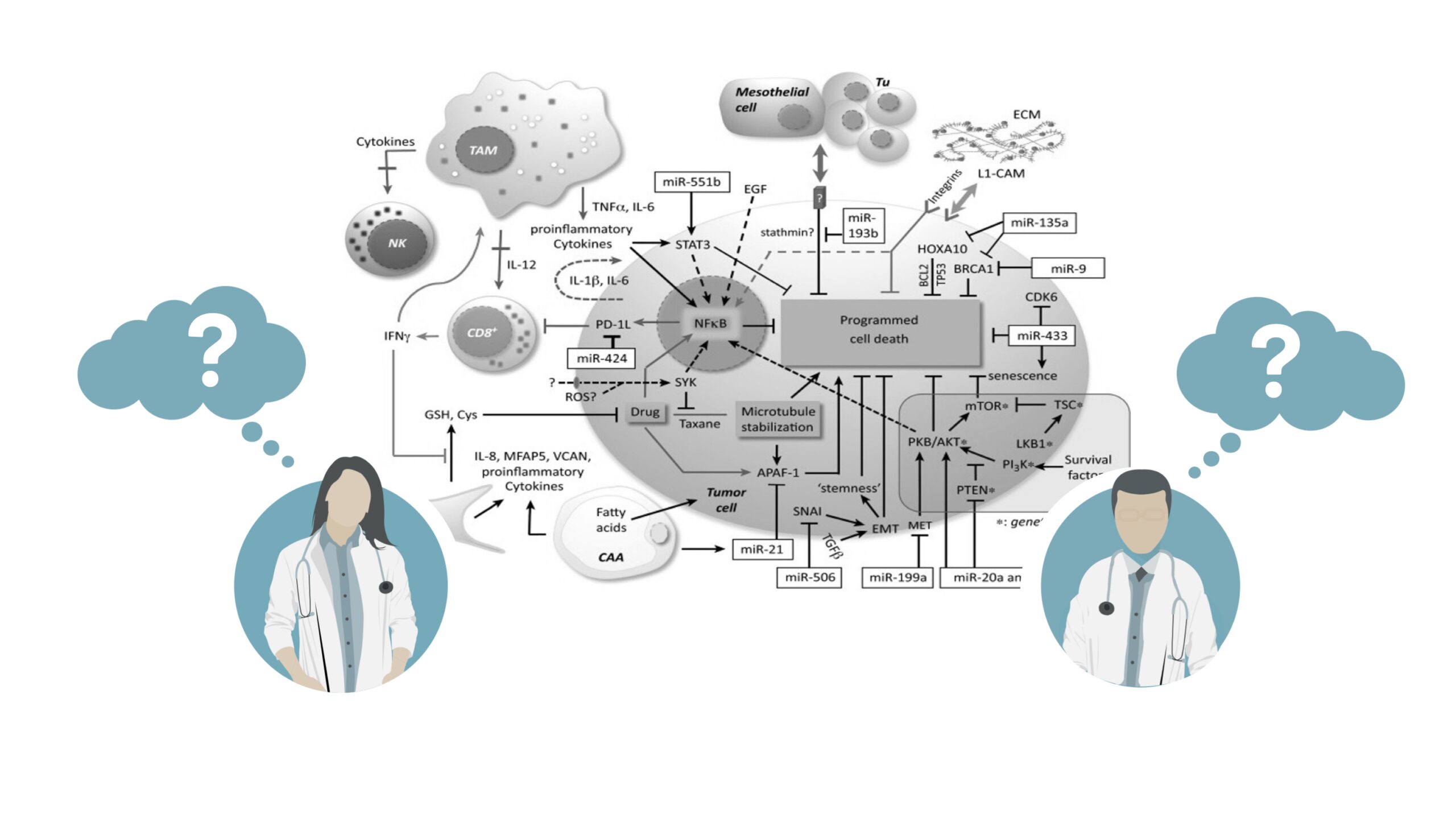 Complexity Graphic from SBC